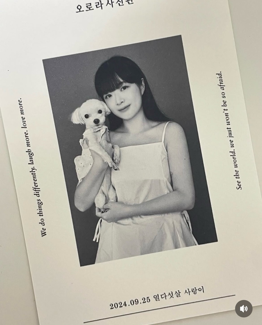 오로라사진관 이미지