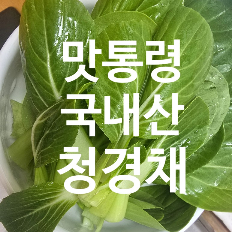 맛통령 이미지