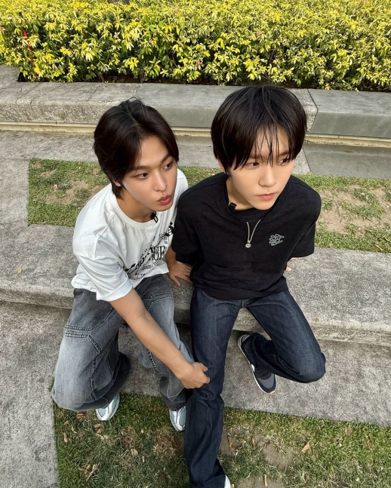 팝팝 이미지