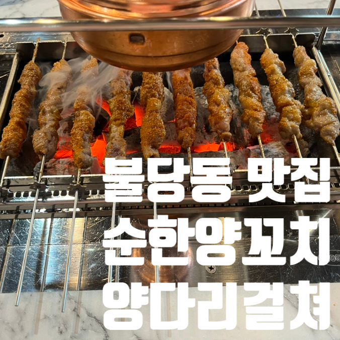 순한양꼬치양다리걸쳐 이미지