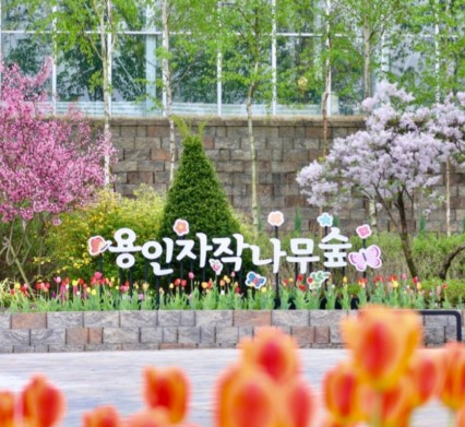용인자작나무숲펜션 이미지