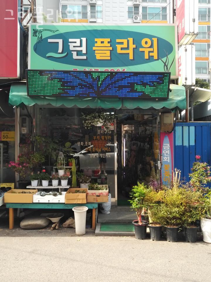 그린플라워 이미지