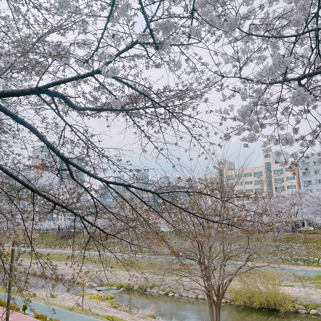 우자매 순대국 이미지
