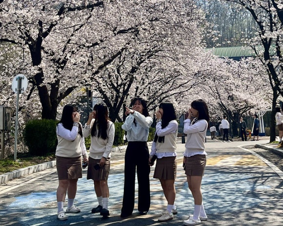 꽃길만걷자 이미지