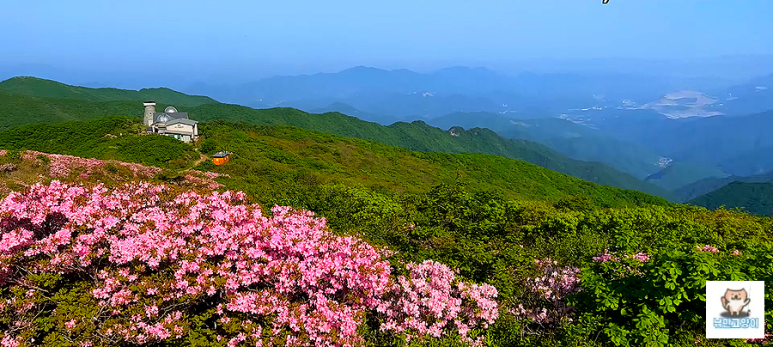 소백산국립공원 희방사코스 이미지