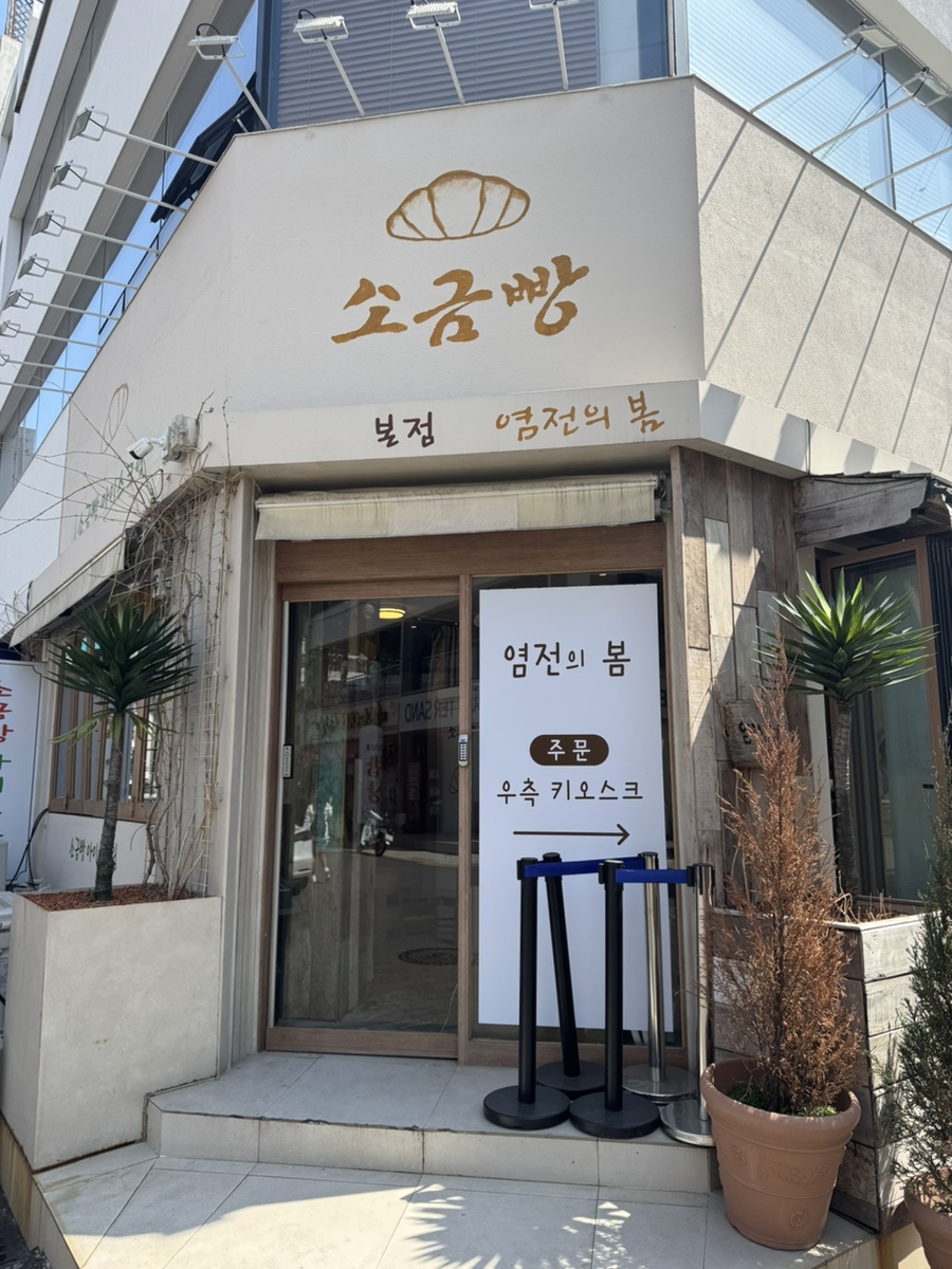 염전의봄 이미지