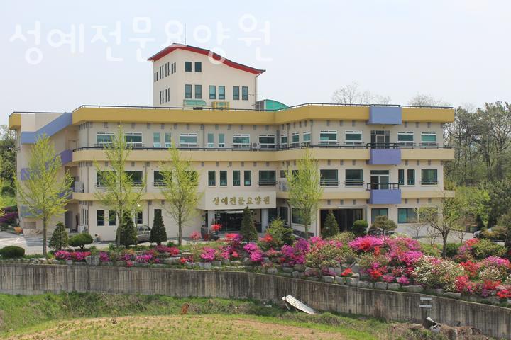 성예 이미지