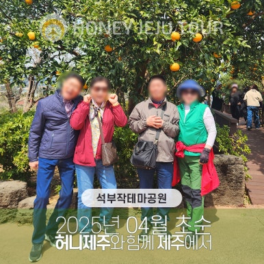 제주다정여행사 이미지