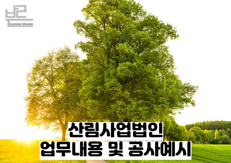 숲길법인 이미지