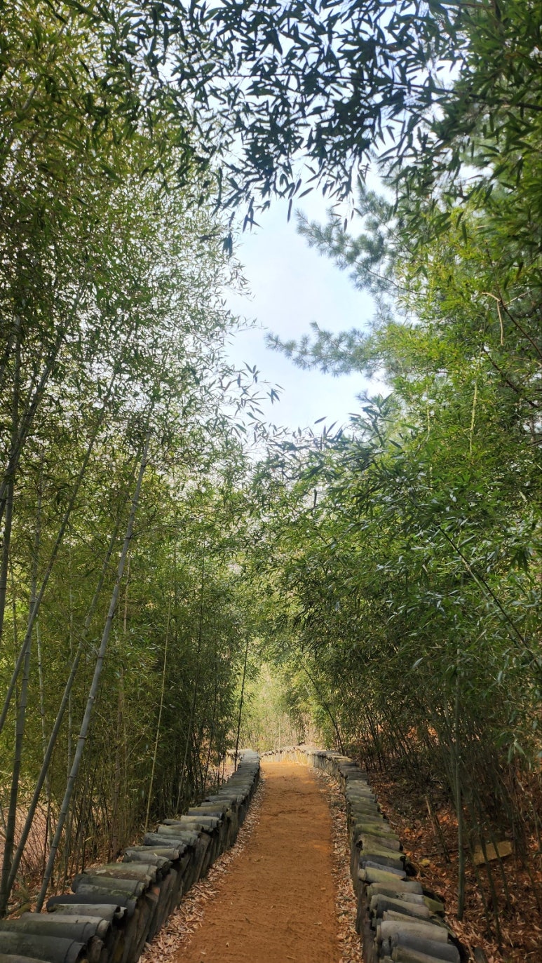 하나중기 이미지