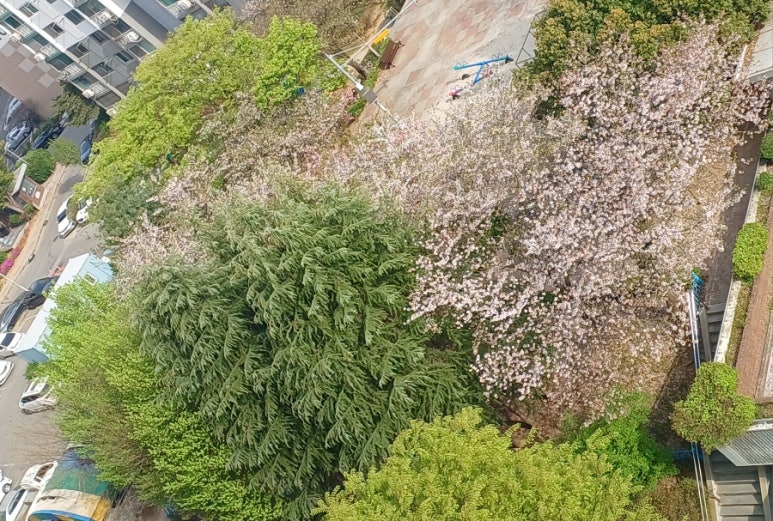 운남반점 이미지