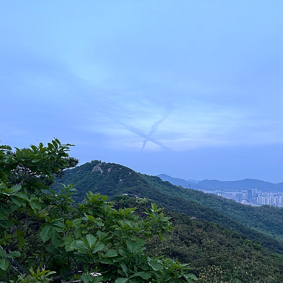 힐링진 이미지