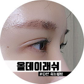 올데이래쉬 이미지