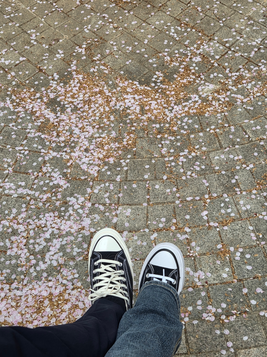 편 안(comfort) 이미지