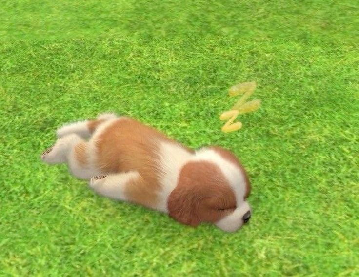 또또 이미지