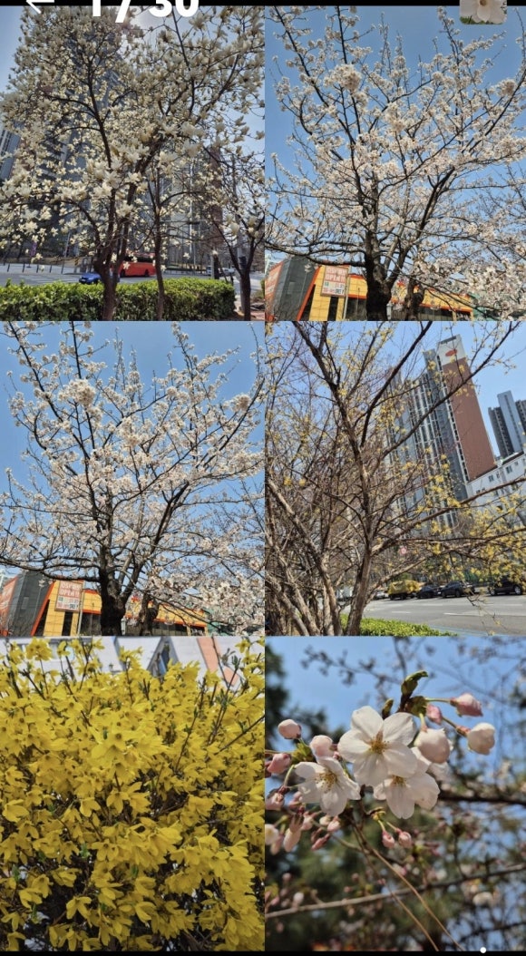 오복해장국 이미지