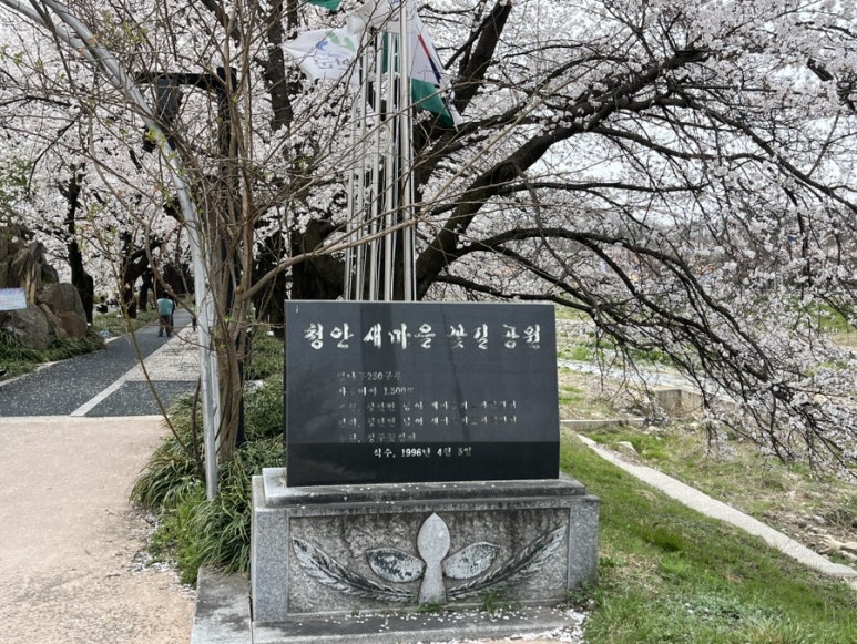 새청주주유소 이미지