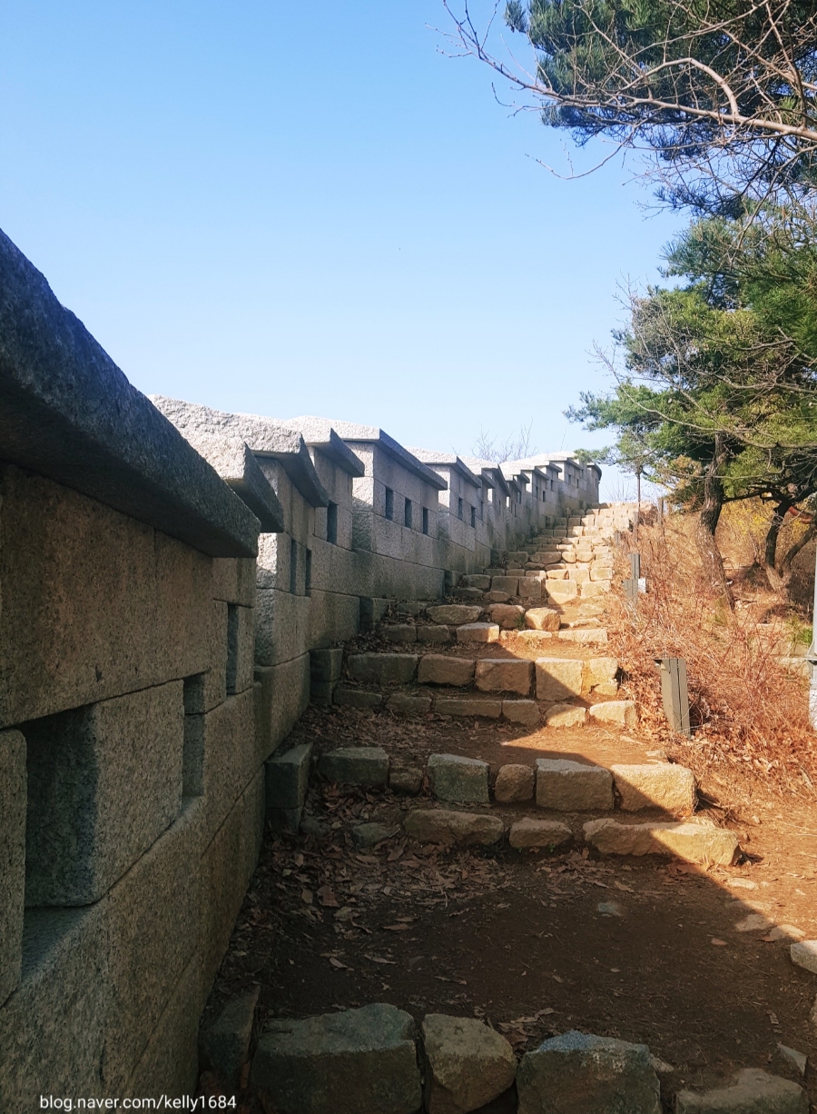 꽃님네 이미지
