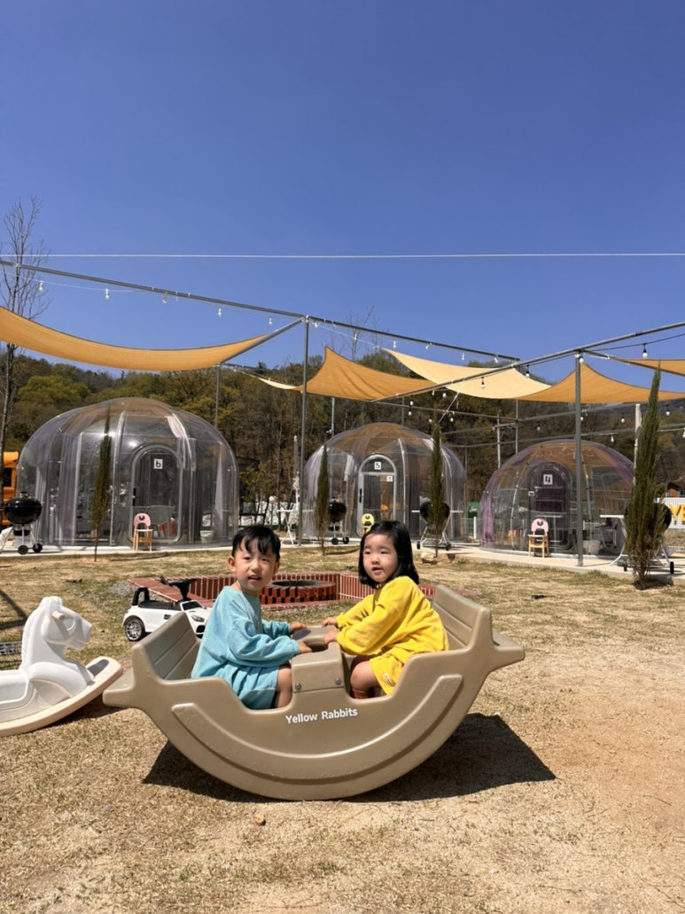 옐로우레빗츠 이미지