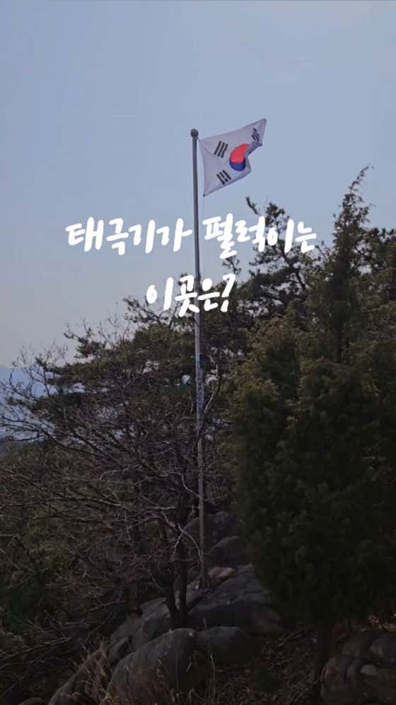 힐링진 이미지