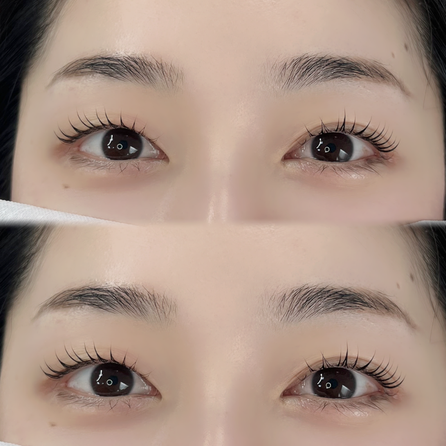 래쉬더로즈 이미지