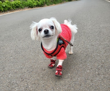 건어마을 이미지