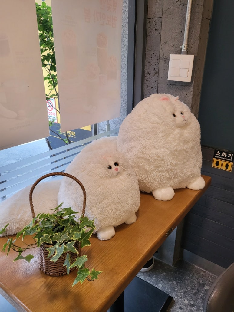 컴포즈커피창원안민점 이미지