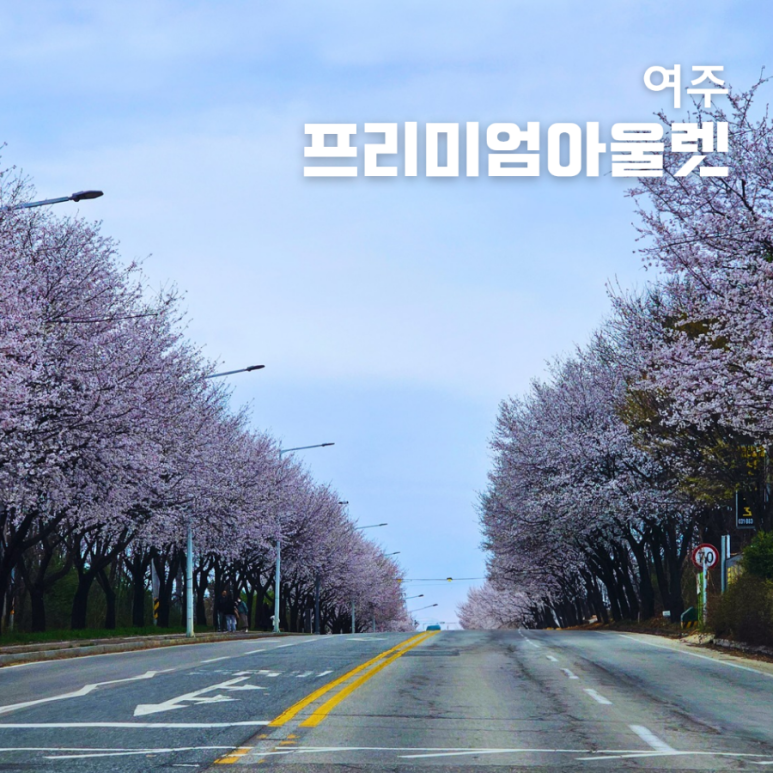 노티드 여주프리미엄아울렛 이미지
