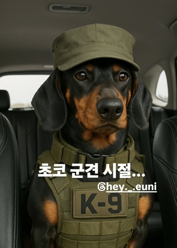 크로스핏헤이 이미지
