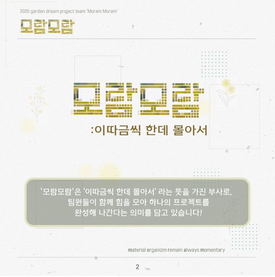 모람모람 이미지