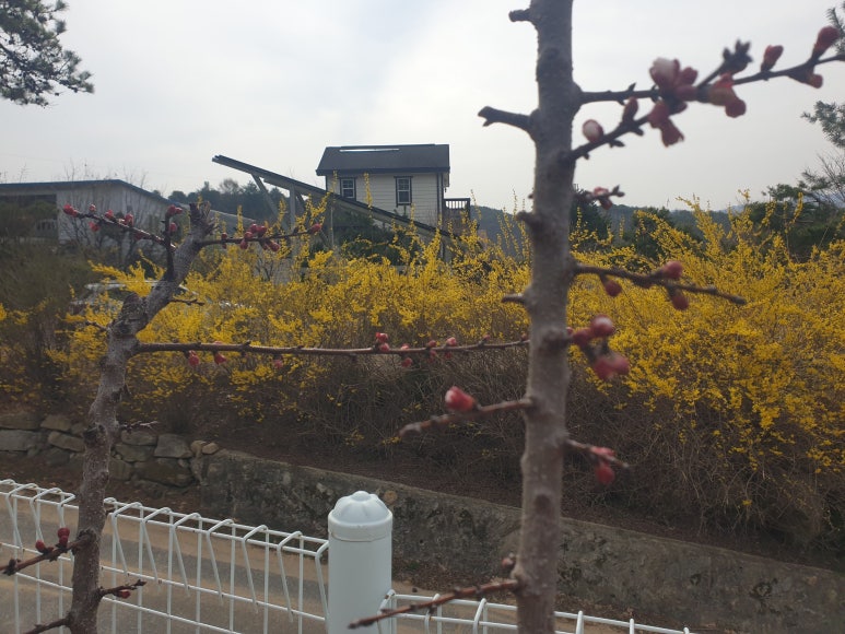 (주)다투어 이미지