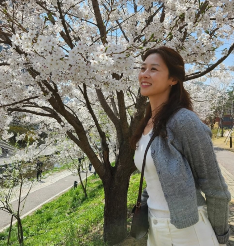 다정크리닝 이미지