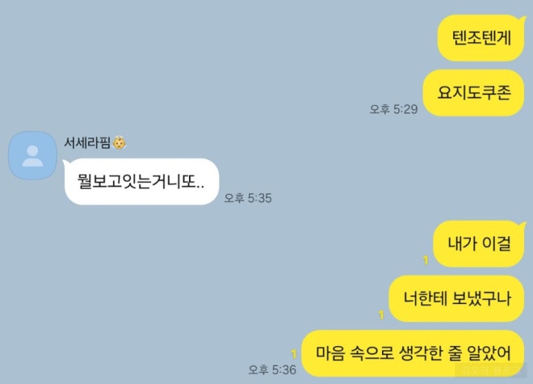 쿠존 이미지