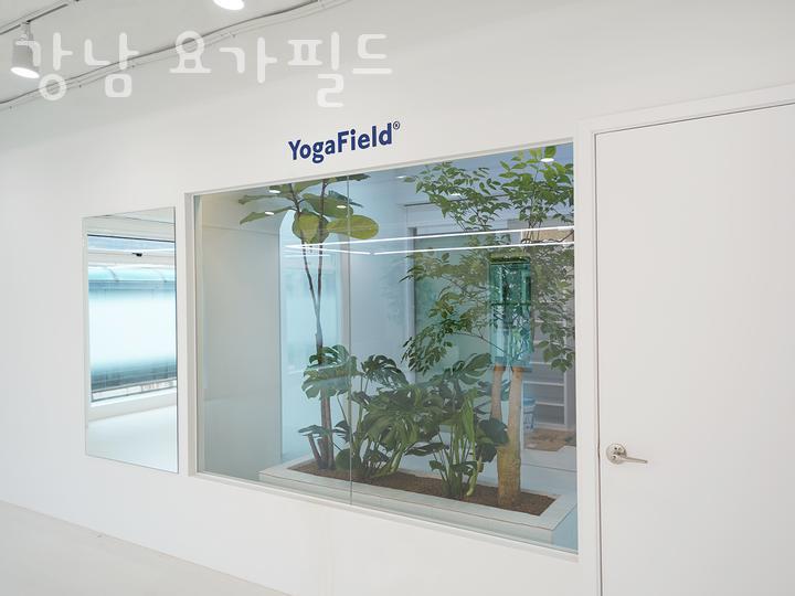 강남요가필드 이미지