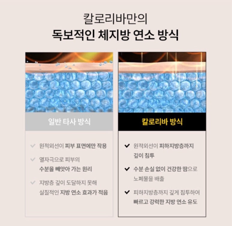 칼로리바 이미지