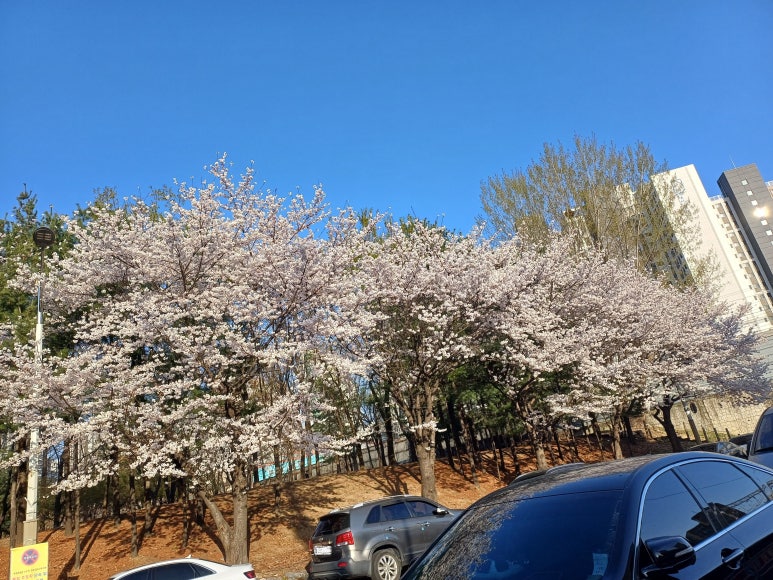 벤뎅이포장마차 이미지