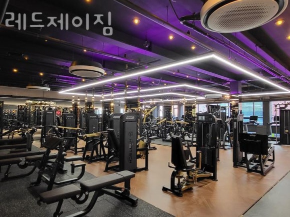 레드제이 이미지