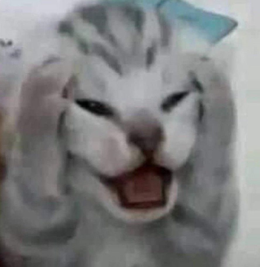 또또 이미지