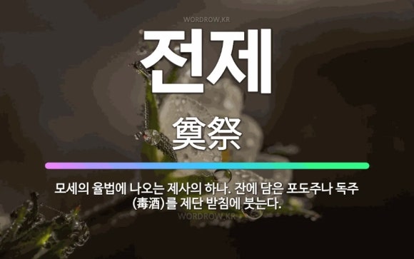 스펜 이미지