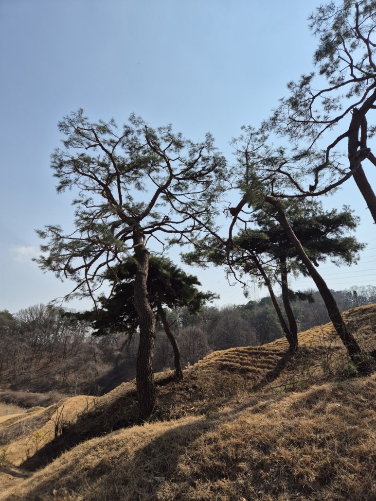 주식회사 산수 이미지