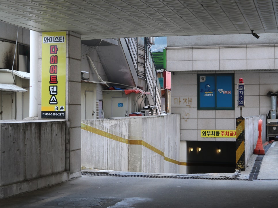 정닭 이미지