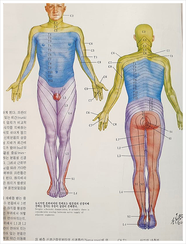 종부테라피 이미지