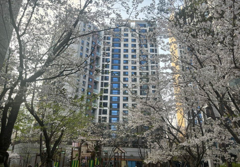 도와세움평생교육센터 이미지