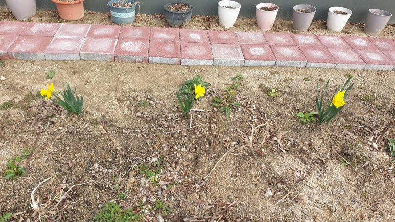 (주)다투어 이미지