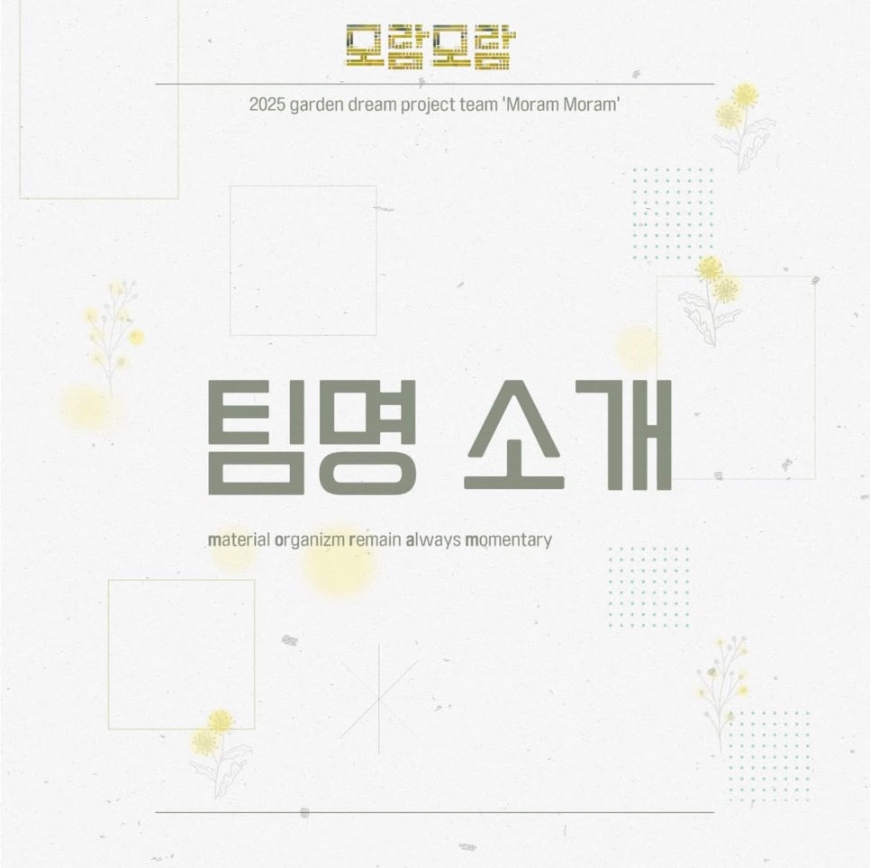 모람모람 이미지