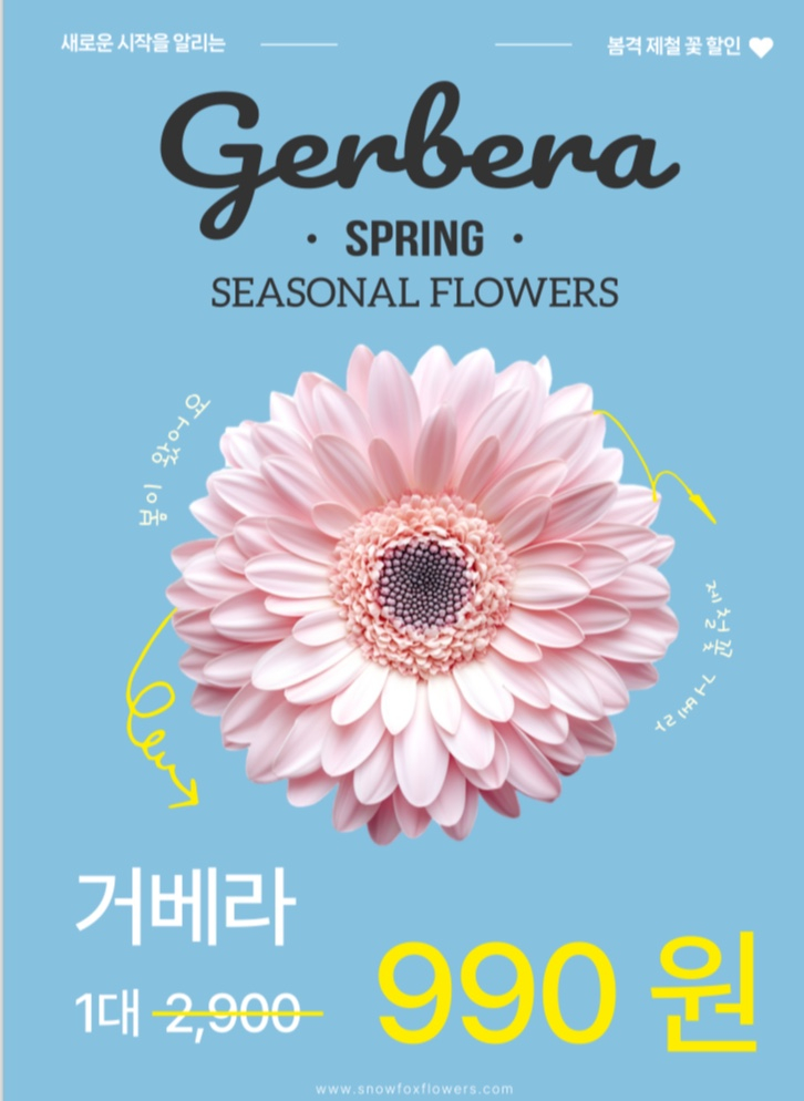 스노우폭스제주 이미지