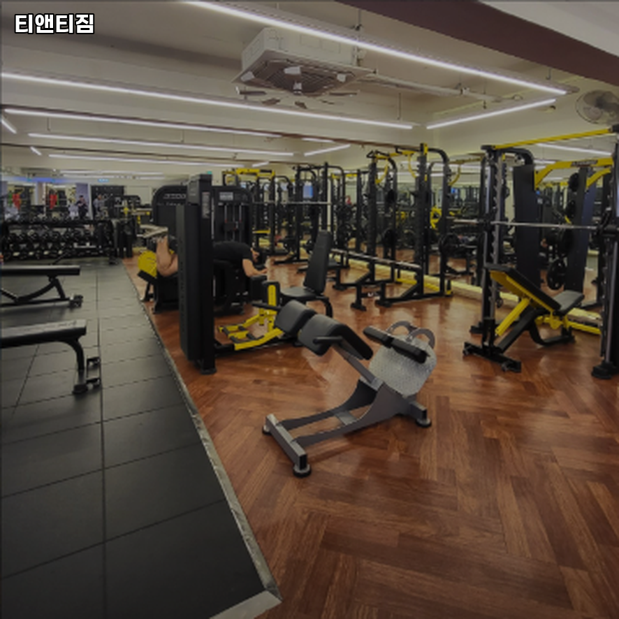 티앤티짐 이미지
