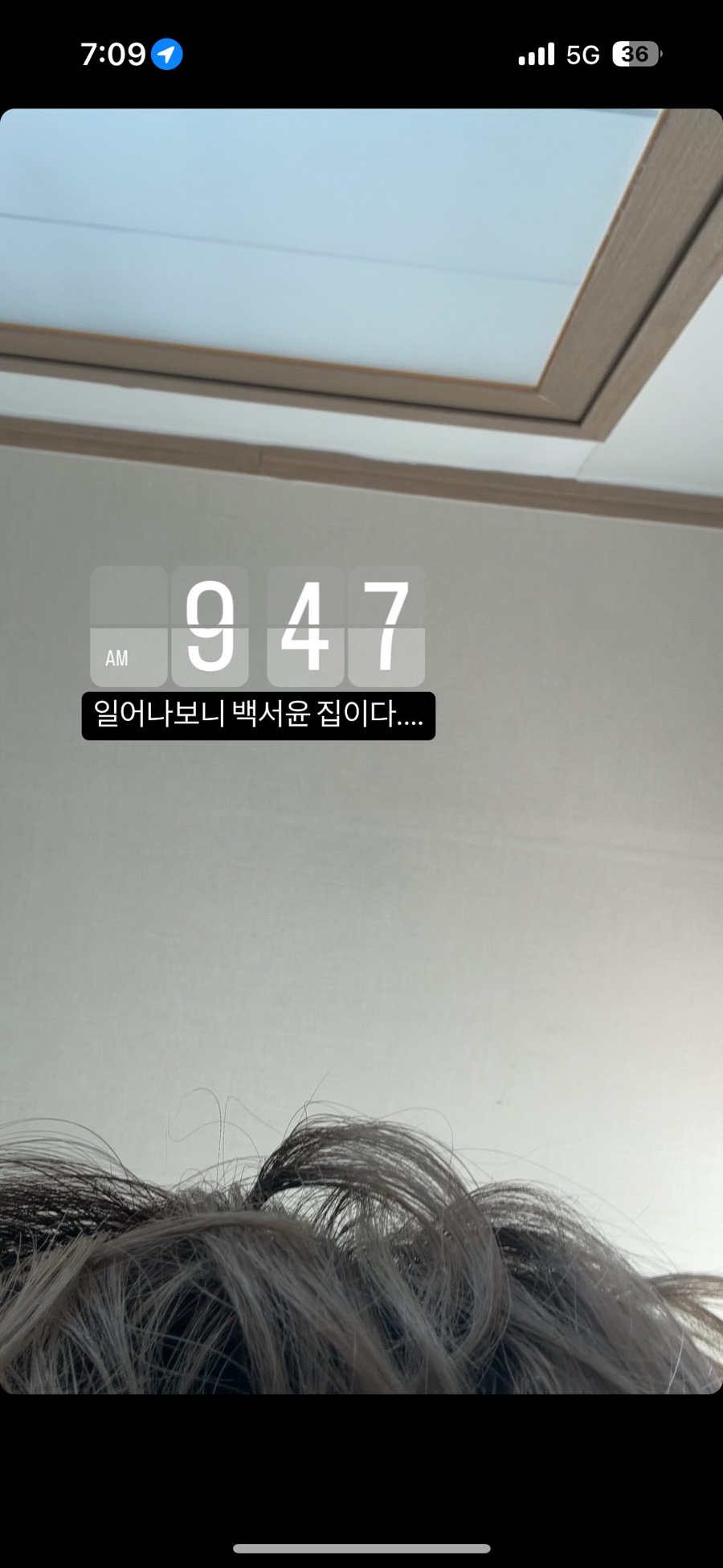 도현상회 이미지