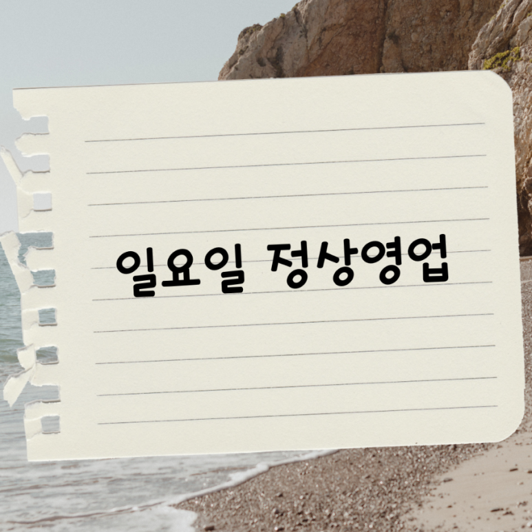 비비래쉬 이미지