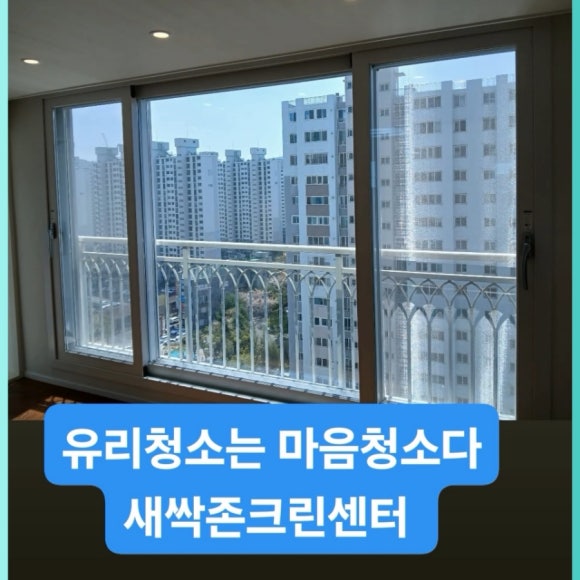 새싹존크린센터 이미지